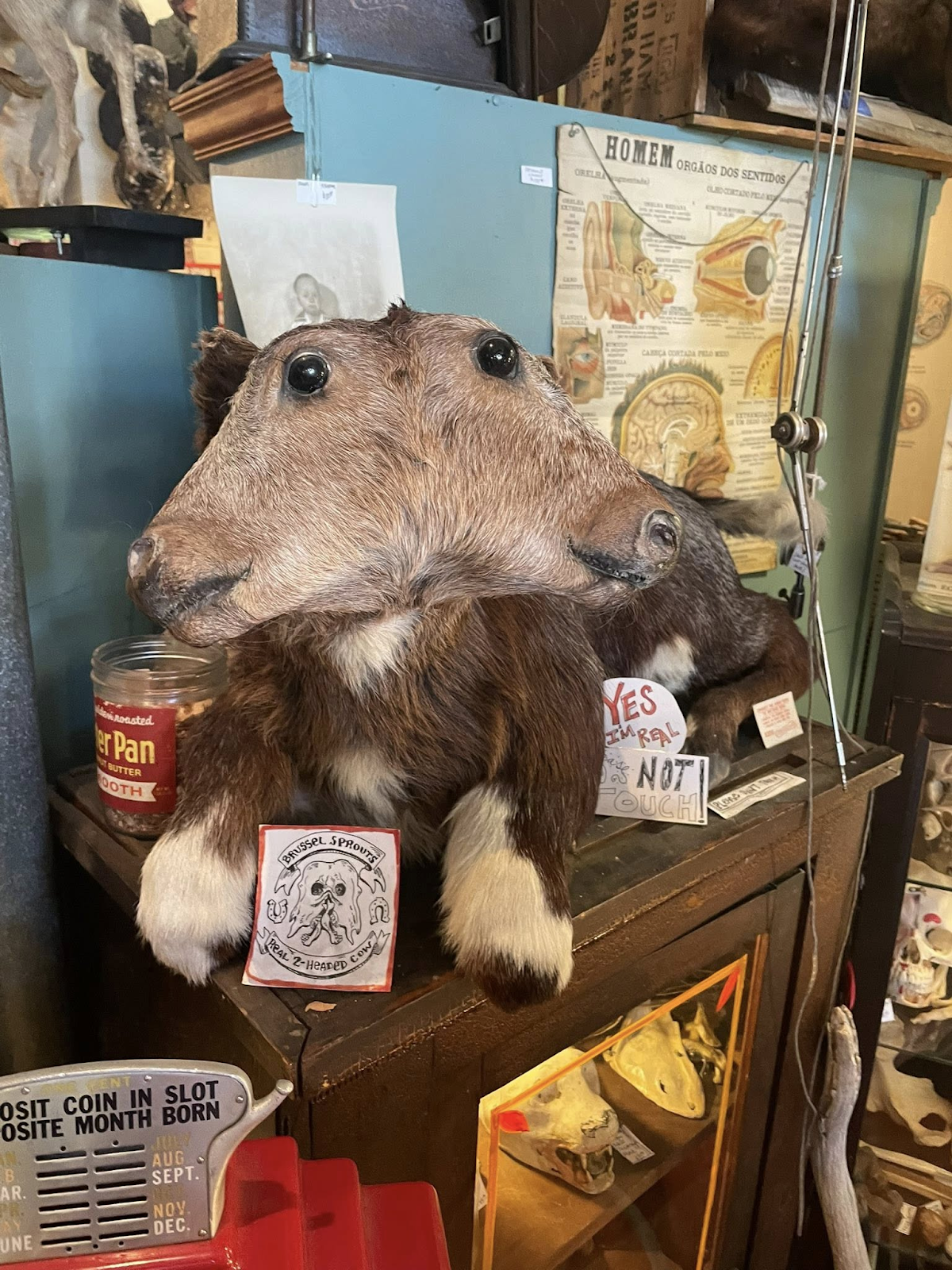 The weird shops behind Hollywood’s movie magic 3